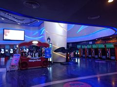 -万达影城(汉街万达广场IMAX店)