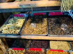 水产区-昆虫窝子·特色云南菜(拓东路总店)