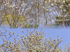 -睦南公园