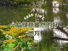 -紫蓬山国家森林公园