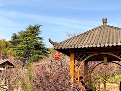 -无锡梅园公园