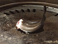 -大唐尚武烤活鳗鱼黑牛烤肉(大里路店)