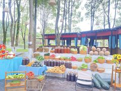 -洪湖家庭农场·团建·露营·会议