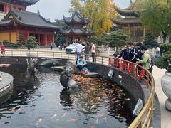 -上海东林寺(金山区)