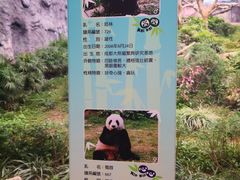 -石排湾郊野公园