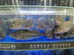 -永辉超市(六里桥店)