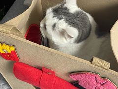 -麦当劳(展览路店)