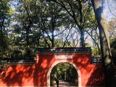 -灵谷景区