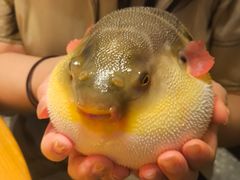 -永安鱼庄·镇江菜(东吴路店)