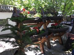 -慢丽江·云南野生菌土鸡锅(付家庄店)