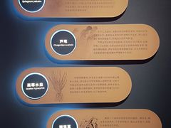 -中国湿地博物馆