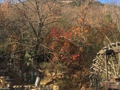 -石老人观光园