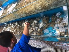 -港畔赶海蒸汽海鲜烧烤自助(仙螺岛店)