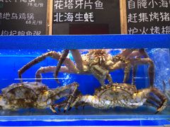 -船梆煮•蒸汽海鲜·生腌干蒸(五四广场店)