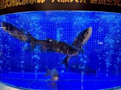 -潇湘码头·鲜湘菜(清河店)