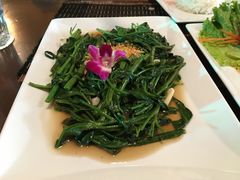 -Daddy Nimman Chiang Mai