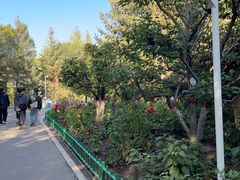 -青藏高原野生动物园
