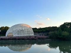 -吴淞炮台湾湿地森林公园烧烤区