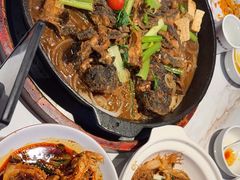 -老板恋上鱼(高新万达店)