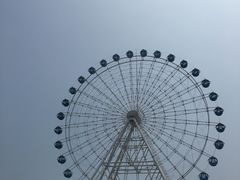 -秦皇岛乐岛海洋王国