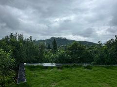 -桃源山庄·水蜜桃采摘·柴火鸡·烧烤团建(龙泉山店)