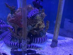 -太平洋海底世界