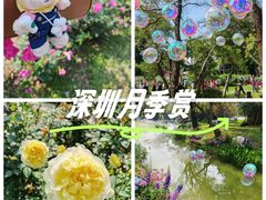 -人民公园(罗湖区)