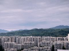 -福道