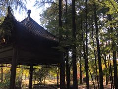 -东湖落雁景区