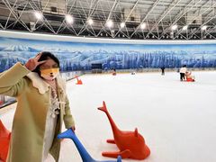 -世界之窗阿尔卑斯冰雪世界