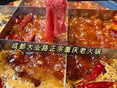 -重庆渝达老火锅(春熙路店)