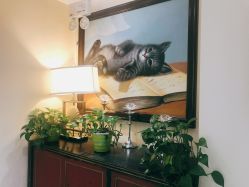 -咪咪比基尼脱毛专业店