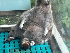 -珠海海泉湾神秘岛亲子乐园