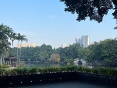 -荔湾湖公园