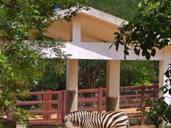 -石家庄市动物园