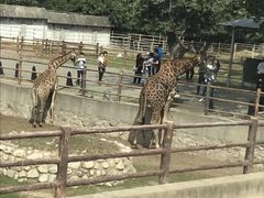 -西安秦岭野生动物园