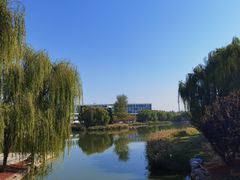 -大兴滨河森林公园