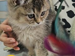 -中农国际动物医院24小时·猫科·骨科·急重症中心