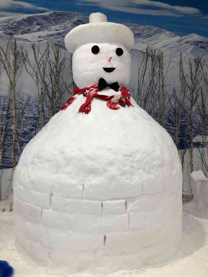 耍雪乐园(东郊记忆店)-"【印象】全新装修 | 场地每天消毒 | .