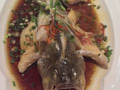 -眉州东坡(春秀路店)