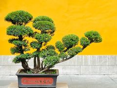 -杭州上天竺法喜讲寺
