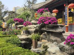 -白家大院·王府宫廷菜(苏州街店)