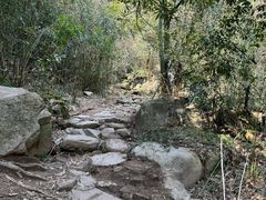 -莫干山风景区