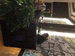 iphone_upload_pic-上海外高桥喜来登酒店