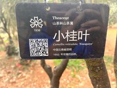 -昆明植物园