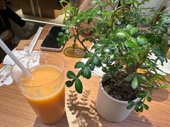 -CURRY YA 熟成咖哩專門店(深圳湾万象城店)