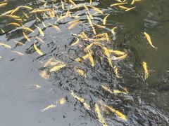 -本溪水洞