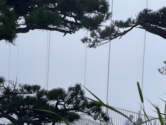 -明堂山风景区