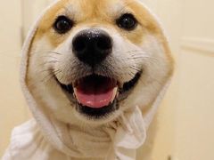 -蔴将·川菜(黄龙万科店)