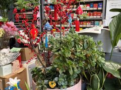 -FEI FEI FLOWER鲜花店·气球派对·宝宝宴布置(虹口德必运动Loft店)